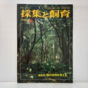 採集と飼育 1984年4月号★座談会 森の効用を考える/照葉樹の森/ウニの発生/樹の枝に咲いた白い花/自然にしたしむ