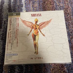 国内盤　帯付　nirvana ニルヴァーナ インユーテロ　30周年記念デラックスエディション