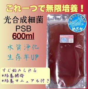 ★無限培養★光合成細菌PSB 600ml 水質浄化　生存率UP　メダカ　めだか　卵　金魚　らんちゅう　熱帯魚　稚魚　針子　ミジンコ ゾウリムシ