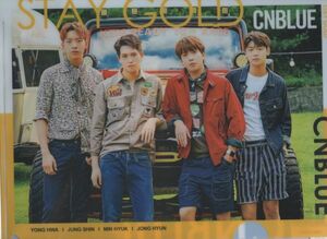 韓国　K-POP ☆CNBLUE シーエヌブルー☆　クリアファイル　A4サイズ　クリアホルダー P-274