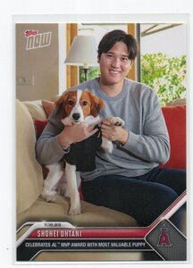 2023 Topps Now [大谷翔平/SHOHEI OHTANI&デコピン] AMERICAN LEAGUE Most Valuable Player Award Winner with Puppyカード MLB AL MVP