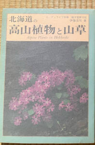 【ガーデンライフ別冊】昭和56年 北海道の高山植物と山草 著 伊藤浩司