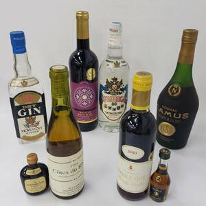 M071-558【千葉県内のみ発送】酒 ※同梱不可 ８本まとめ DRY GIN/REGALOR 2019 PAYS D