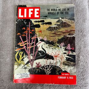 ☆長期保管品☆ 洋書 LIFE 1953年2月9日号 LIFE誌 ライフ誌 洋雑誌 ビンテージ レトロ 雑誌 広告 ポスター コレクター LIFE誌 洋書 ライフ