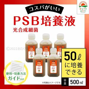 【PSB培養液 500ml　50L培養分　送料無料】光合成細菌　メダカ めだか 金魚 ミジンコ　ゾウリムシ　クロレラ　ミジンコ　に最適