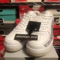 AF1 supreme north JORDAN off-white DUNK