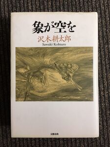 象が空を / 沢木 耕太郎