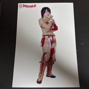 MARIGOLDマリーゴールド#3林下詩美ポートレートプロレス