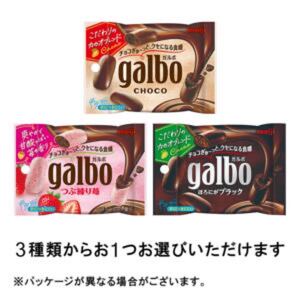 明治 ガルボチョコポケットパック ガルボつぶ練り苺ポケットパック ガルボほろにがブラックポケットパック いずれか1つ 引換券