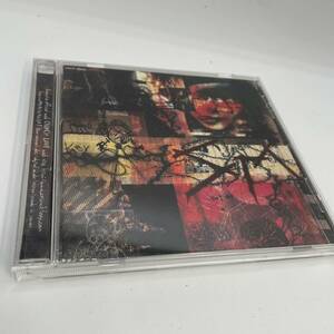 【中古CD】Lapta ラピュータ　Spiders Monkey サンプル　見本品　11