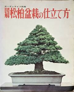 〔ZY8A〕ガーデンライフ別冊　図解　松柏盆栽の仕立て方