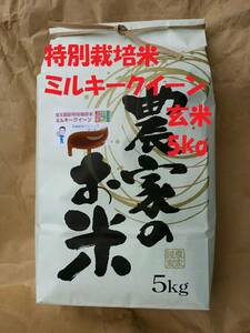 ★新米★[玄米]特別栽培米ミルキークイーン５ｋｇ有機肥料減農薬栽培