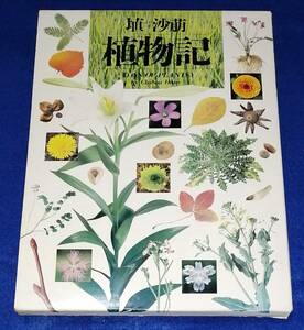 ○○　植物記 埴 沙崩 　1993年第４刷　福音館書店　23R00s