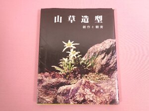 ★初版 『 山草造型 創作と鑑賞 』 秋艸実 月刊さつき研究社