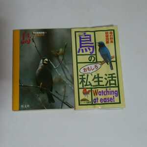 鳥　野外観察図鑑5 鳥のおもしろ私生活　多少日焼けや汚れは有ります　発送はネコポス