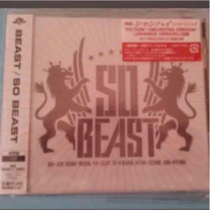 通常盤 CD☆SO BEAST☆Highlight アルバム ALBUM ドゥジュン ドンウン ヒョンスン ギグァン ヨソブ ジュニョン 韓国 韓流 日本盤