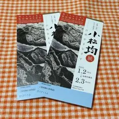 小松均展　自然をまなざす　美術館「えき」KYOTO ペアチケット