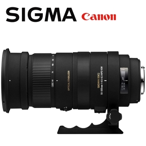 シグマ SIGMA APO 50-500mm F4.5-6.3 DG OS HSM Canon キヤノン用 望遠レンズ フルサイズ対応 一眼レフ カメラ 中古