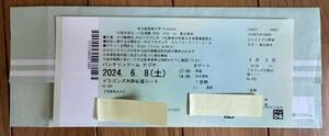 ６月８日（土）バンテリンドームナゴヤ「中日ｖｓ東北楽天」ドラゴンズ内野応援シート　１枚
