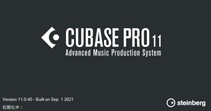 DAW CUBASE PRO 11 譲渡 ドングル