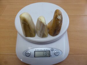 残りわずか！売切り！色々な加工に！★□カバ牙 カットピース/先生地 134g！擬餌餌、彫刻材、提物、パーツ、etc... 象牙の代