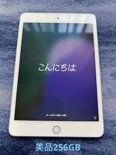 iPad mini第5世代256GBWi-Fiモデル