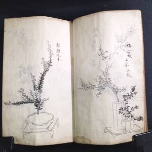 Y382 華道 活花◆袁中郎流 挿華図会◆宏道流 挿花 花道 絵入 絵本 肉筆写本 江戸時代物 浮世絵UKIYOE 骨董 古美術 古典籍 古文書 和本 古書