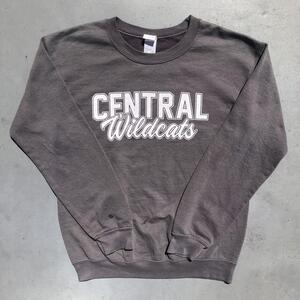 海外 USA 古着 一点物 入手困難 卸 グッドデザイン GILDAN CENTRAL wildcats スウェット トレーナー Sサイズ相当 グレー系