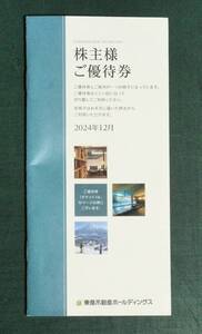 ■東急不動産ホールディングス「株主優待券（500株以上分）」 １冊 　有効期限２０２５年8月３１日まで