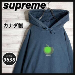 【入手困難!!】シュプリーム カナダ製 19ss Apple hooded