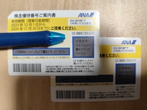 [即決有]ANA株主優待券２枚有り　2024年11月30日搭乗まで有効　番号通知、郵送も可