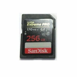 動作確認済み SanDisk Class10 SDカード SDXC 256GB