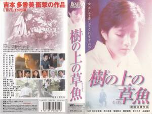 中古VHS◆石川淳志監督作品　樹の上の草魚◆吉本多香美、西川忠志、筒井康隆、鈴木清順、田村翔子、草村礼子、前田つばさ、永島敏行、他