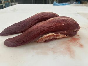 穀物肥育　黒毛牛　牛タン　5kg　冷凍にて発送します　特選牛タン　ムキタン　日本食肉流通センター直送