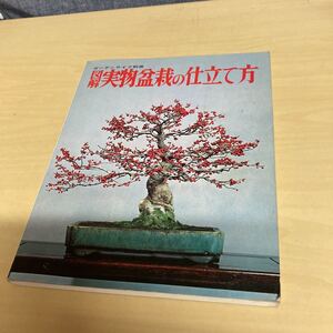 図解　実物盆栽の仕立て方