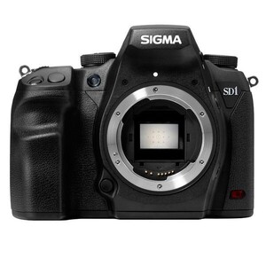 中古 １年保証 美品 SIGMA SD1 Merrill