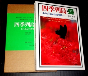 『四季列島・蝶　小さな生命の生存戦略』 大屋厚夫