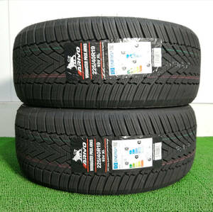 225/40R19 93V XL ARIVO WINMASTER PROX ARW3 新品 スタッドレスタイヤ 2本セット 2024年製 ※本州送料無料 225/40/19 N3893.