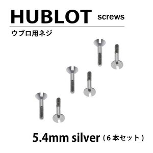 【メール便送料無料】 HUBLOT ウブロ 用 ネジ 5.4mm シルバー 6本セット ベゼル / 時計部品 時計ネジ Hネジ H型ネジ