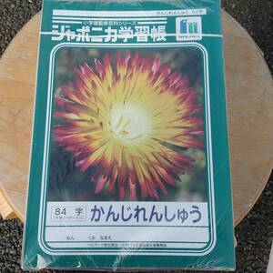 ショウワノート　ジャポニカ学習帳　かんじれんしゅう　B5 　JL-49　10冊×2