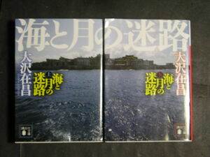 大沢在昌★海と月の迷路（上・下）★　講談社文庫