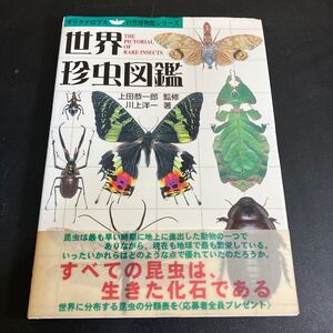 24-2-12 世界珍虫図鑑 オリクテロプス自然博物館シリーズ／川上洋一 (著者) ,上田恭一郎 (その他)