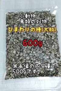 アメリカ産 ひまわりの種 600g 大粒 小動物 鳥類 ハムスターのおやつ インコ