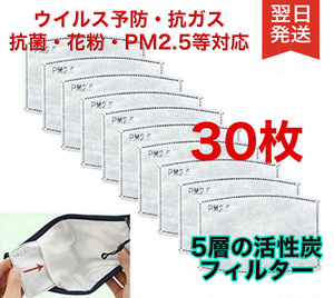 30枚セット 新品 花粉対策 ウィルス予防フィルター 5層構造 抗PM2.5