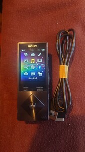 再出品　SONY NW-A25 ソニー WALKMAN ポータブル デジタルオーディオプレーヤー 中古品 