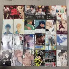 BL漫画まとめ売り　24冊