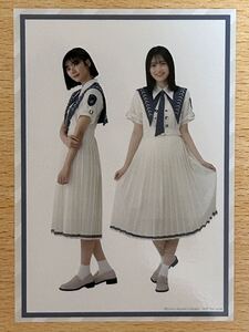 櫻坂46 藤吉夏鈴 的野美青 「自業自得」 初回限定盤 TYPE-C Loppi・HMV限定特典 生写真 1枚