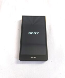 SONY WALKMAN NW-ZX707