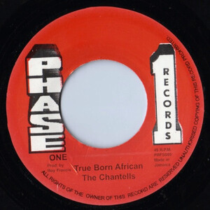 英7 Chantells True Born African PRFS009 Phase One Records /00080