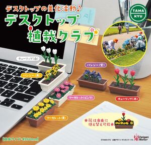 【新品未開封】デスクトップ植栽クラブ 全６種 / ガチャ カプセルトイ ミニチュア 美化運動 TAMAKYU